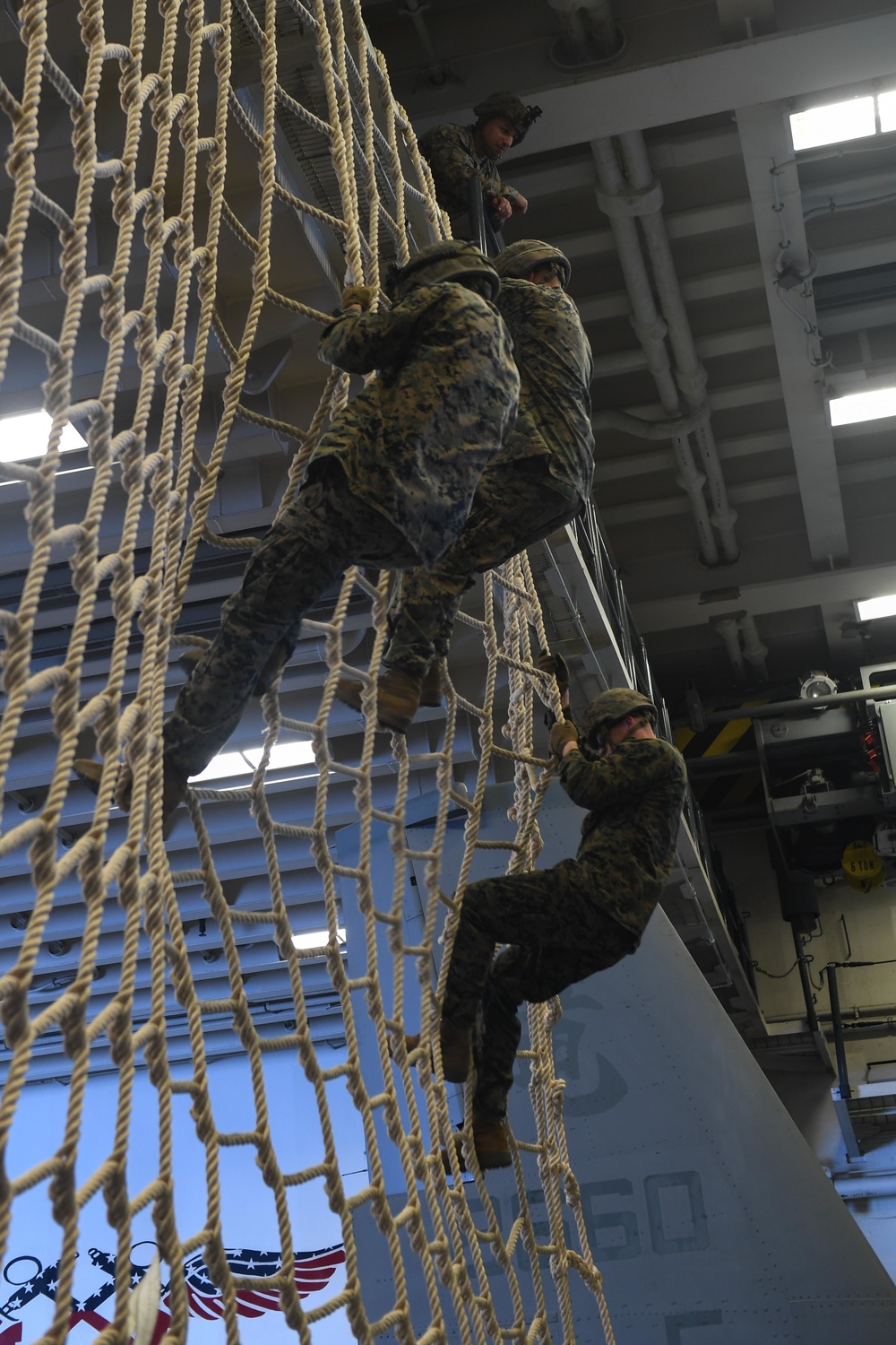 31st MEU Conducts Cargo Net Training