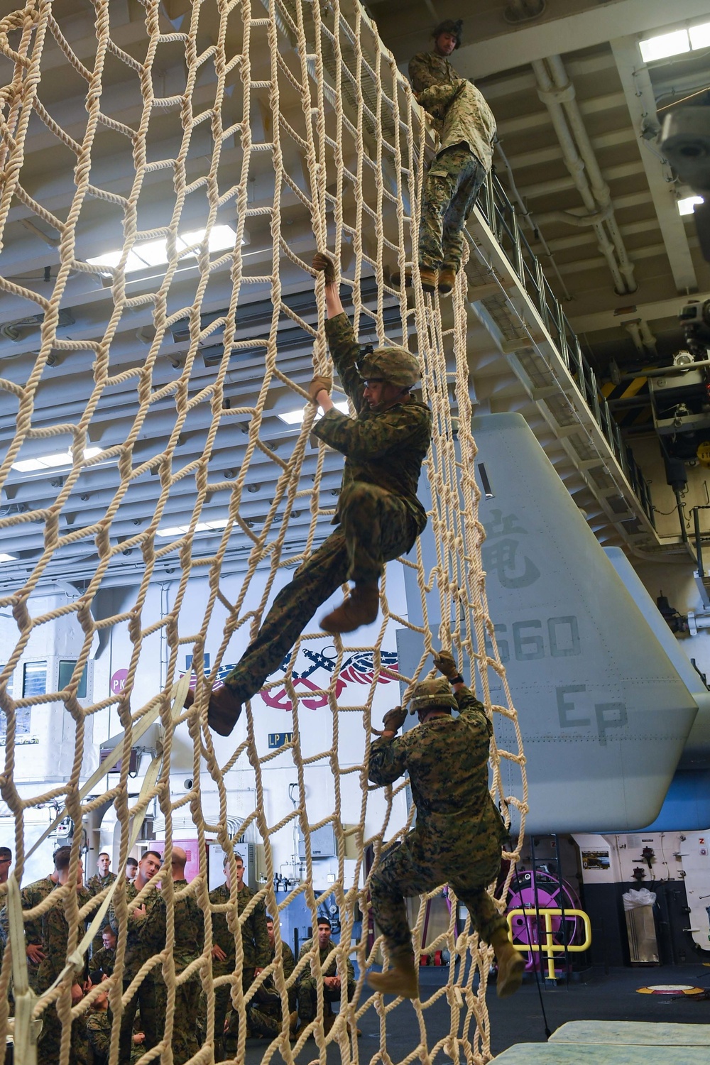 31st MEU Conducts Cargo Net Training