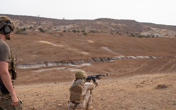 Burkinabe conduct live fire at Flintlock 20