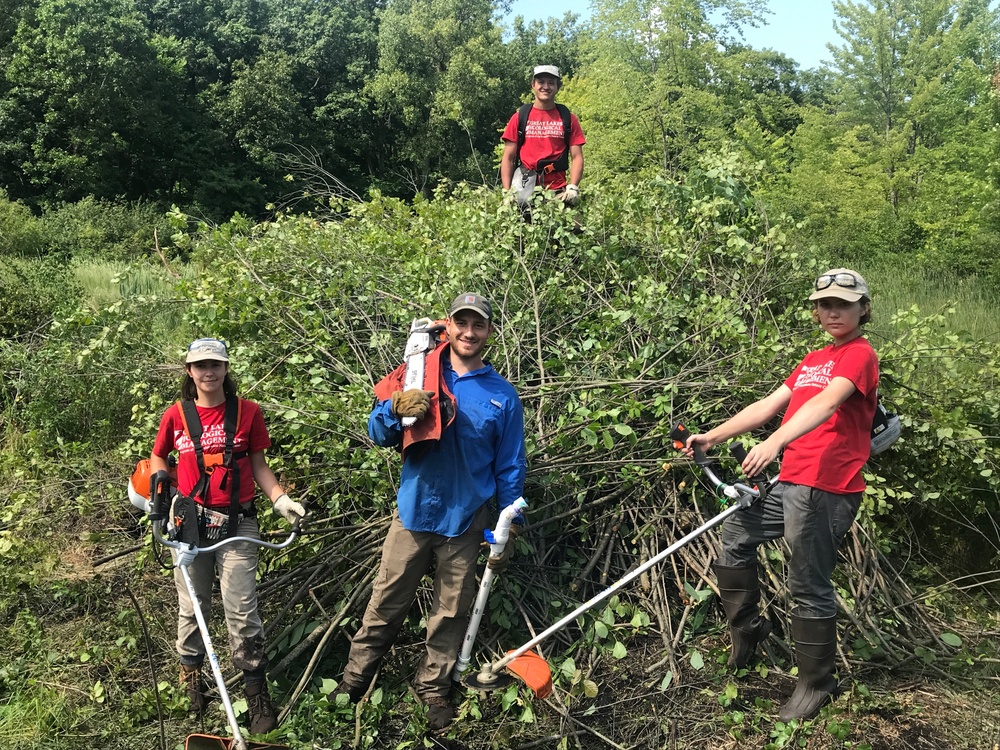 Restoring environmental quality is key to eco-friendly stewardship