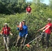 Restoring environmental quality is key to eco-friendly stewardship