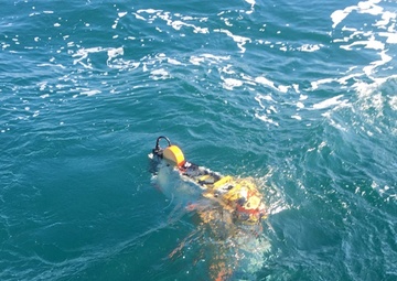 Navy gains a competitive edge with research into biological ocean swarms