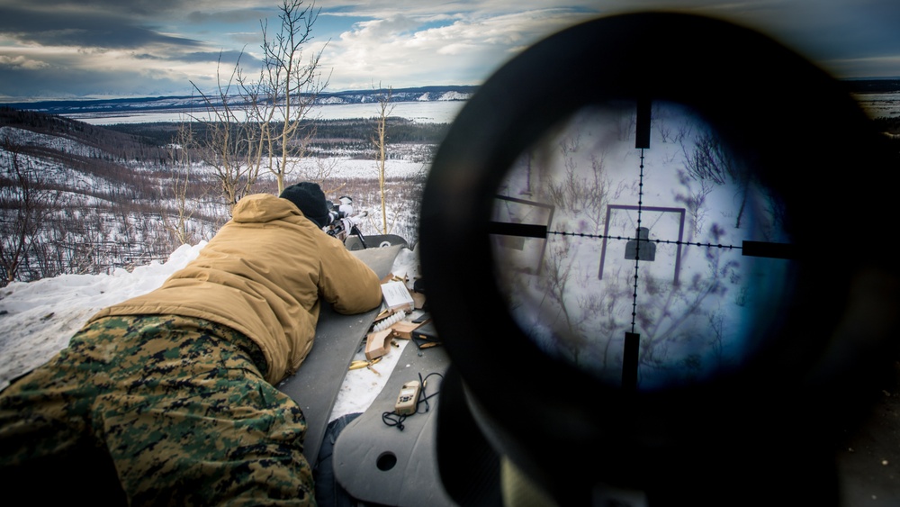 SPMAGTF-AE: Recon Marines execute long-distance live-fire range in Alaska