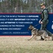 Military Working Dogs: Rifle Training