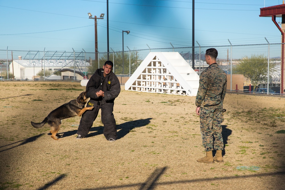 MCAS Winter Tours 1-20