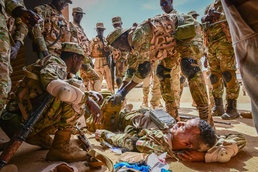 Tactical medical training adds another layer of depth of training for African forces at Flintlock 20
