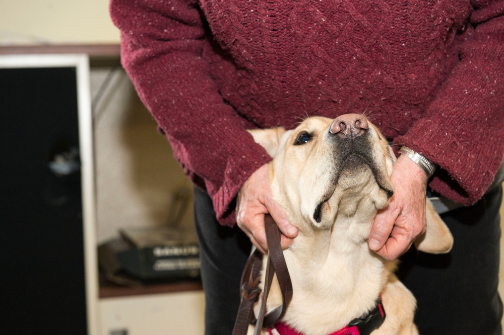 GHWB Sailors Learn About Service Dogs of Virginia