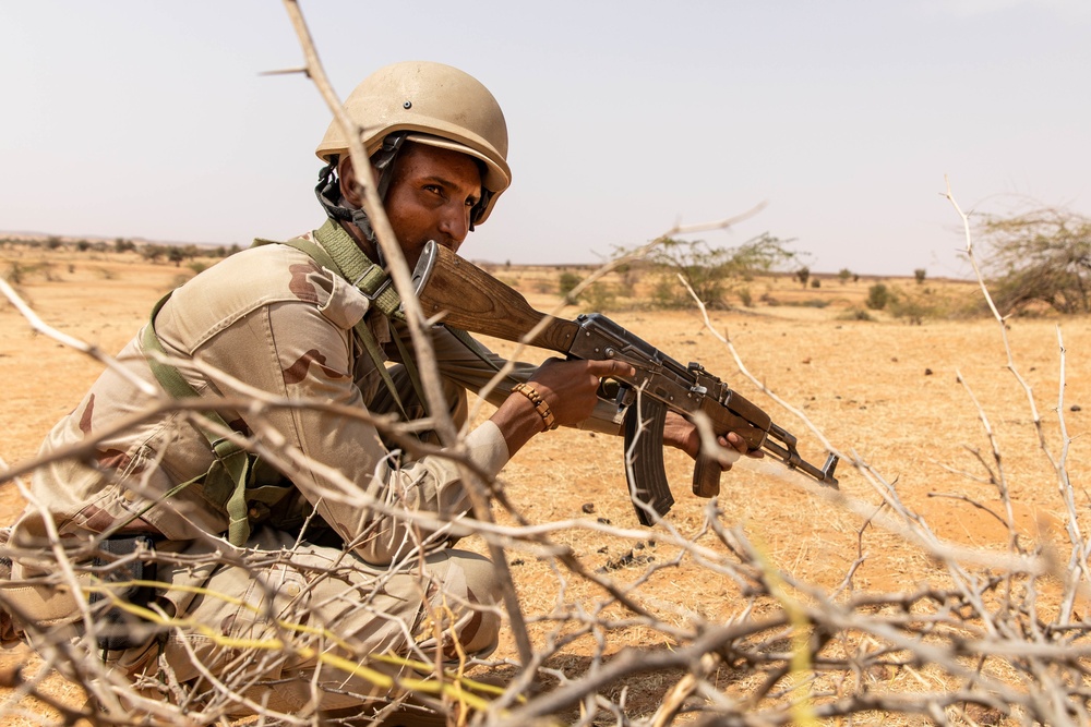 Armed Forces of Mauritania conduct unit maneuvers