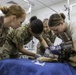 It takes team work to care for Military Working Dogs
