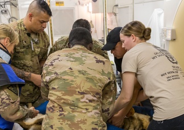 It takes team work to care for Military Working Dogs