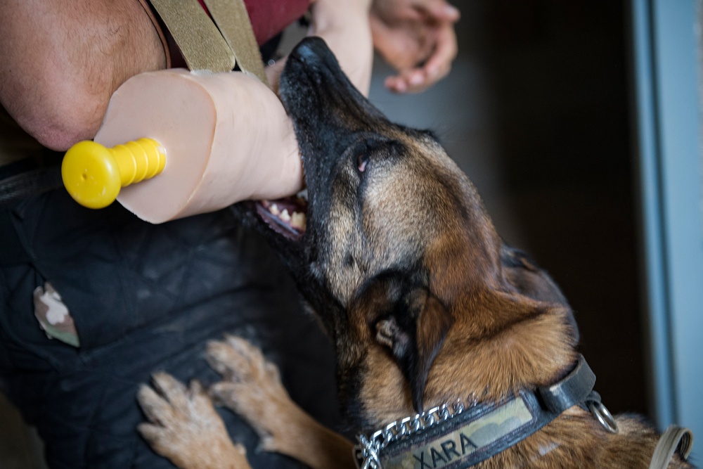 RAAF leaders visit American defenders, rapid engineers