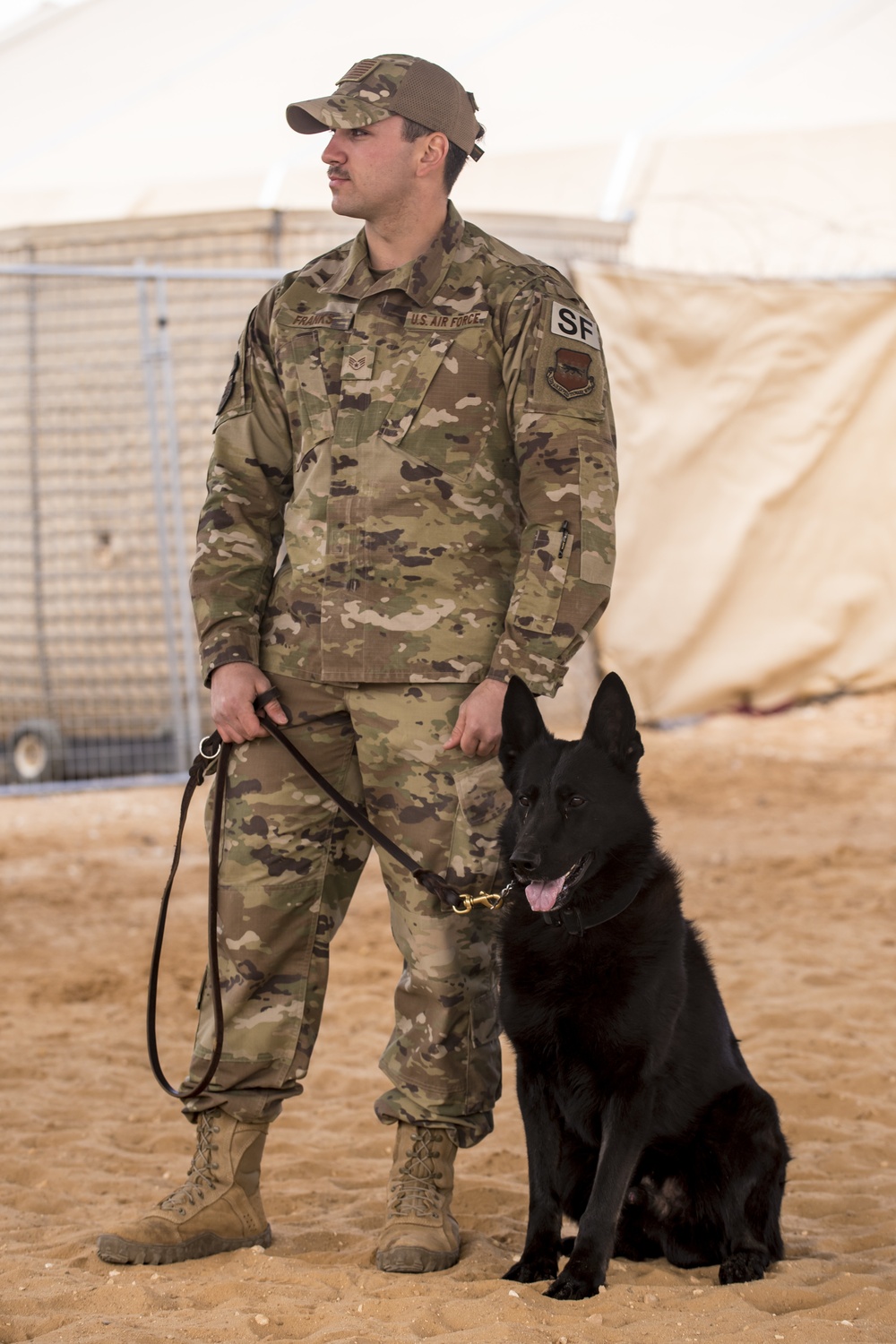 Military working dog demonstration
