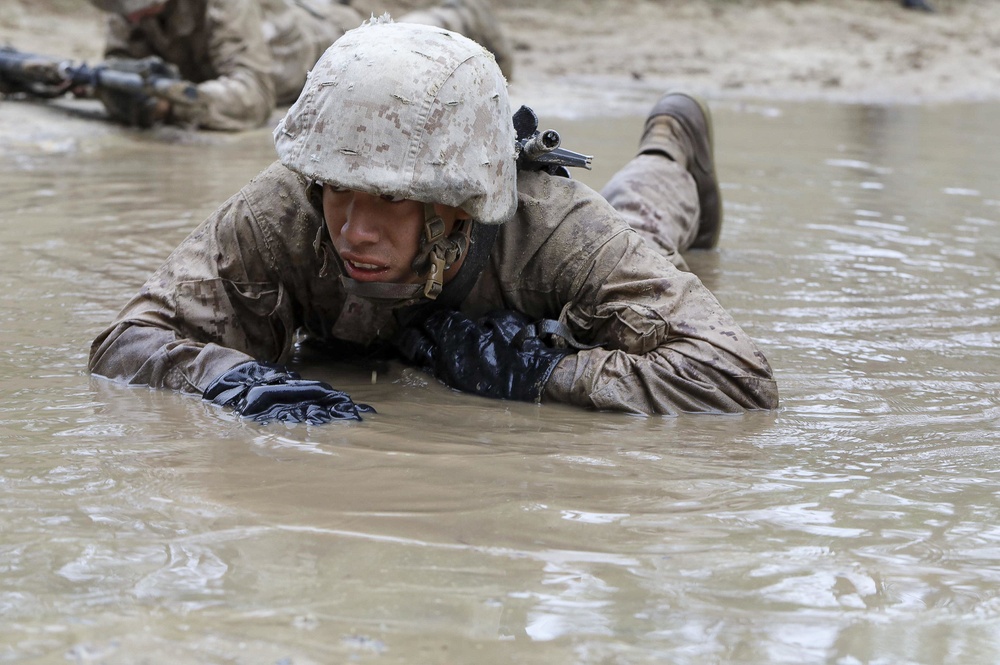 Bravo Company Crucible