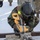 Multiple agencies participate in search and extraction during exercise Arctic Eagle 2020 Multiple agencies participate in search and extraction during exercise Arctic Eagle 2020