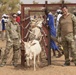 Civil Affairs Treat Cattle in Mauritania