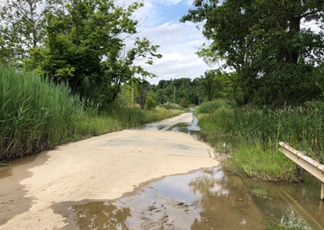 Looking down Stanford Run