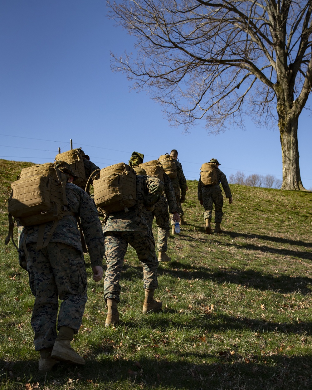Headquarters and Service Battalion Inaugural Beast Slayer Competition