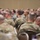 Leadership is the most important component in any organization