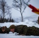 2nd LE Bn conducts cold-weather training