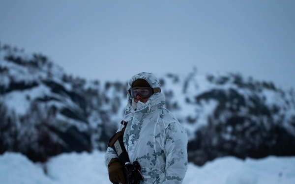 2nd LE Bn conducts cold-weather training
