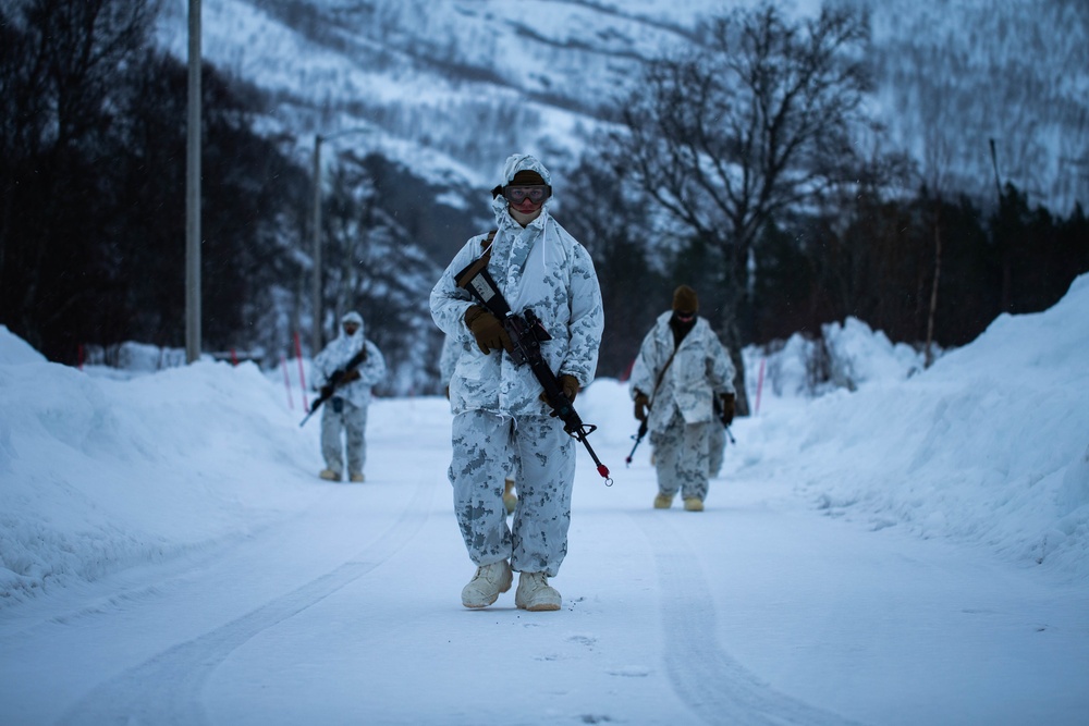 2nd LE Bn conducts cold-weather training