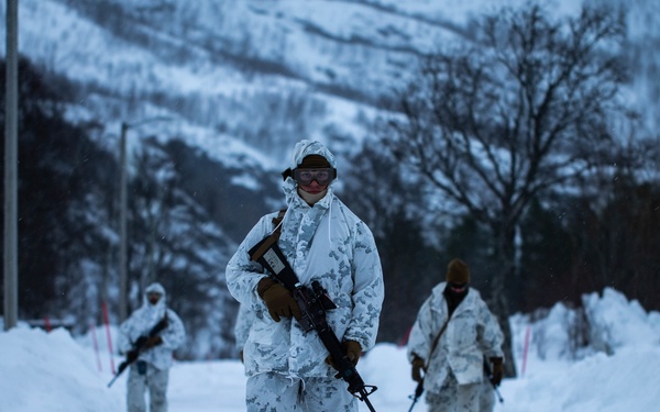 2nd LE Bn conducts cold-weather training