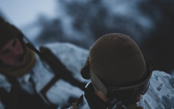 2nd LE Bn conducts cold-weather training