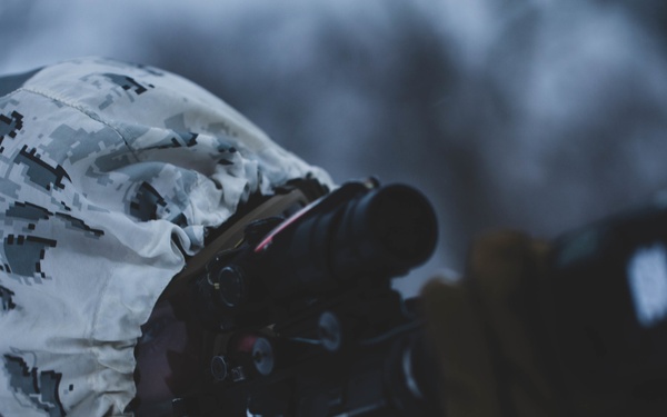 2nd LE Bn conducts cold-weather training