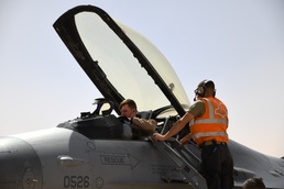 Falcons Nest at PSAB