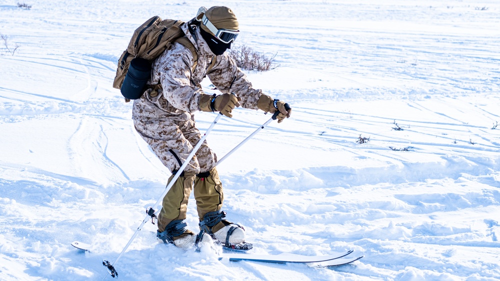 Winter Warriors