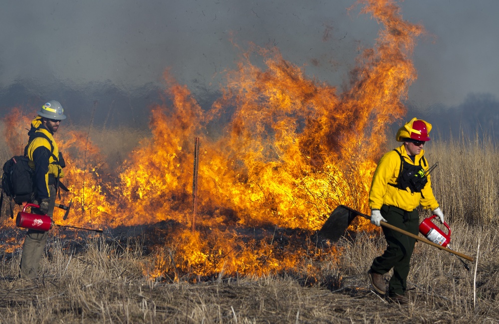 Historic Prairie Burns to Let the Grass Grow