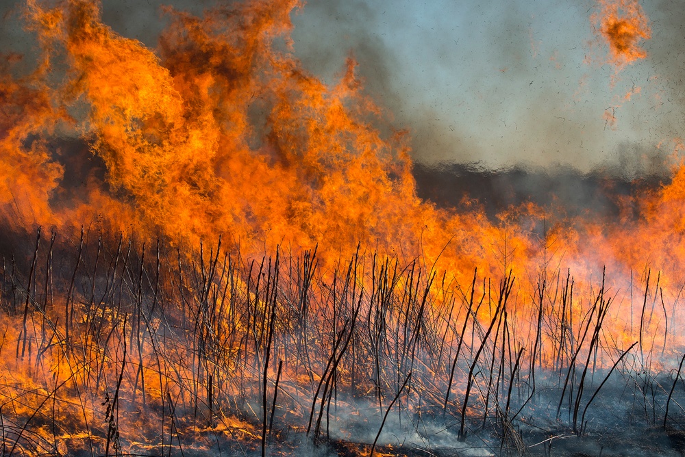 Historic Prairie Burns to Let the Grass Grow