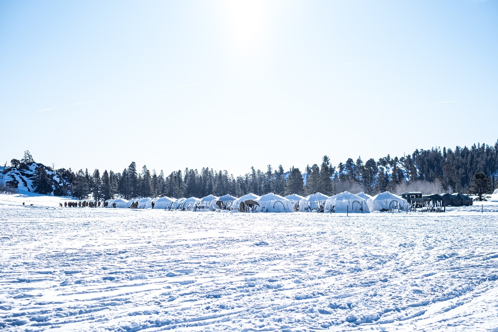 Winter Warriors