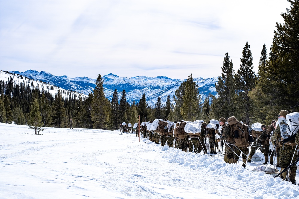 Winter Warriors