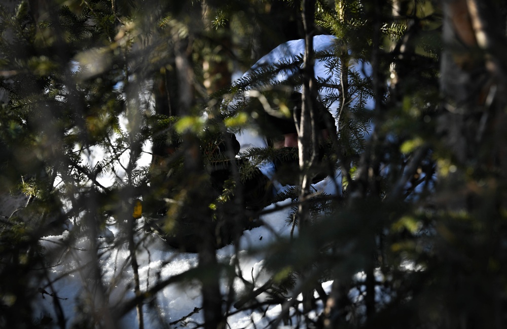 Exercise Arctic Edge ground attack