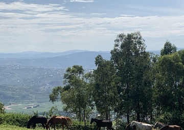 CJTF-HOA’s 411th CA, Rwanda partner for veterinary ‘One Health’ Assessment