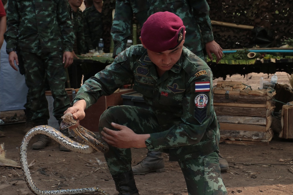 Cobra Gold 20: Thai, US Troops Train in Jungle Survival