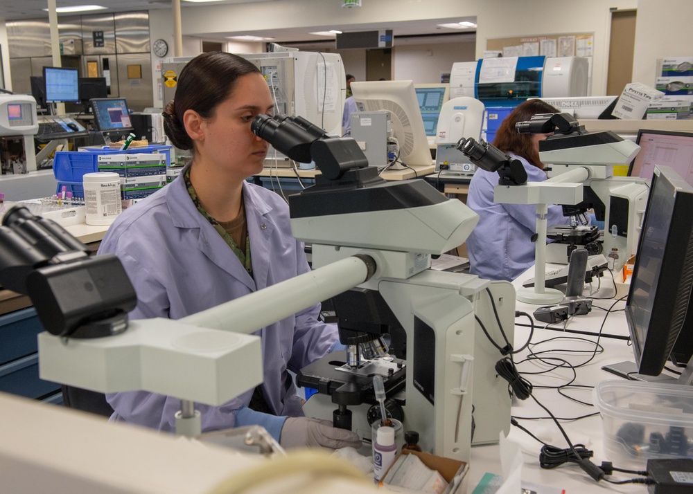 NMCSD Hospital Corpsman Performs RBC Morphology