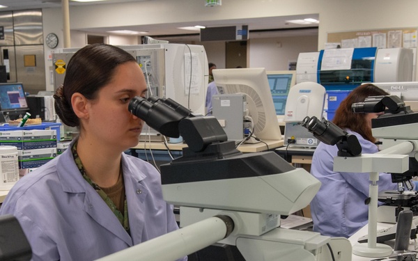 NMCSD Hospital Corpsman Performs RBC Morphology