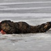 Cold-water immersion training for Soldiers, Marines at Fort McCoy