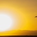 146th Airlift Wing performs pallet drop training