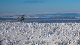 CH-47 Chinooks go to Deadhorse for Arctic Eagle