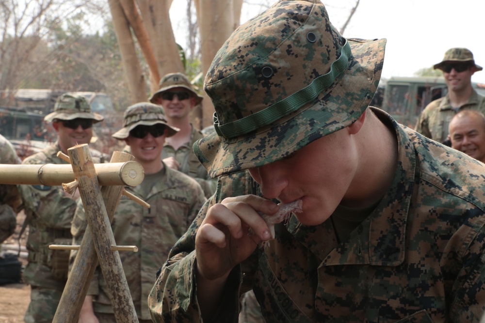 Cobra Gold 20: Thai, US troops train in jungle survival