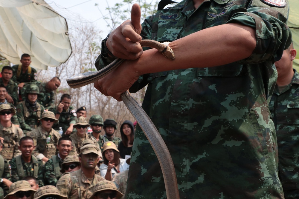 Cobra Gold 20: Thai, US troops train in jungle survival