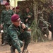 Cobra Gold 20: Thai, US troops train in jungle survival