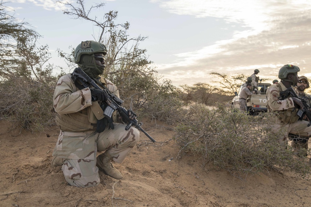 African forces train on vehicle intercept at Flintlock 20