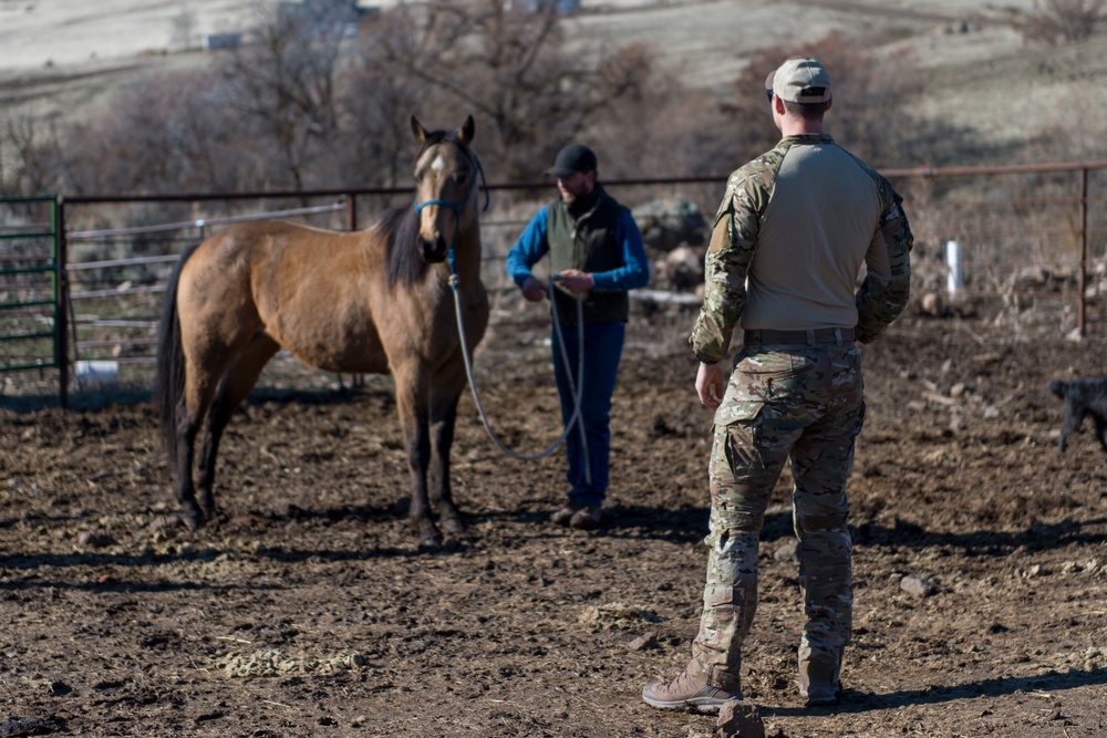 Special warfare tactical air control party Airmen rope and ride while learning new skills