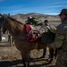 Special warfare tactical air control party Airmen rope and ride while learning new skills