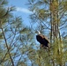 Annual Eagle Count at Englebright Lake
