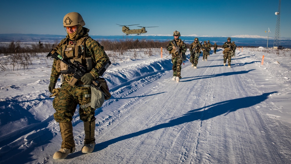 AE20: 1st Recon Battalion conducts raid in Northern Alaska